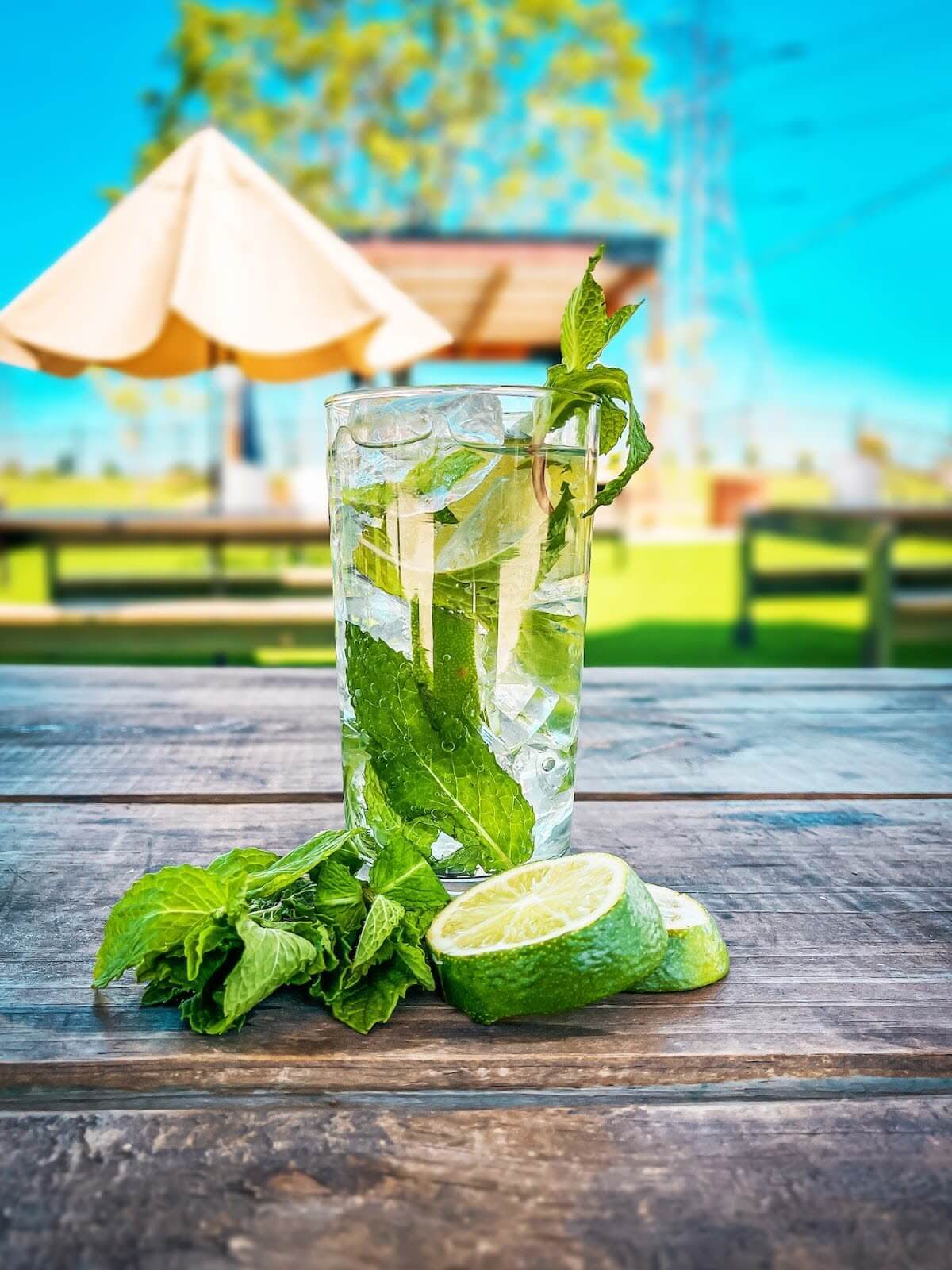 Classic Mojito in a glass.